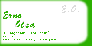 erno olsa business card